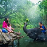 Best Elephant Sanctuary in Phuket