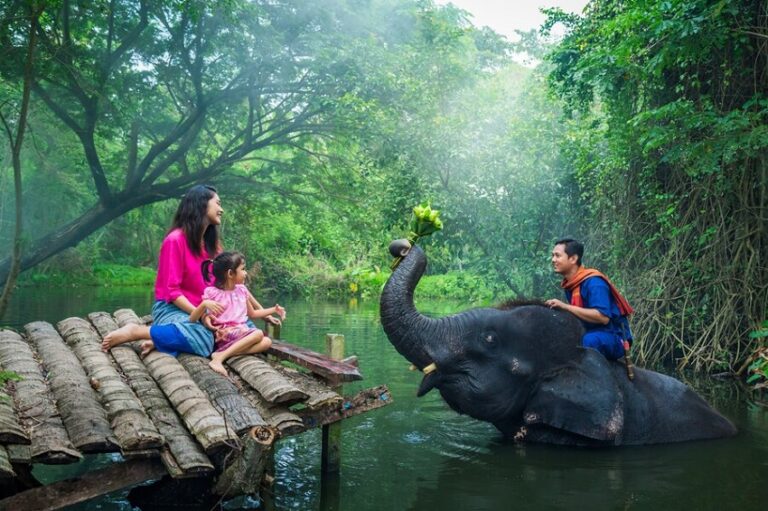 Best Elephant Sanctuary in Phuket